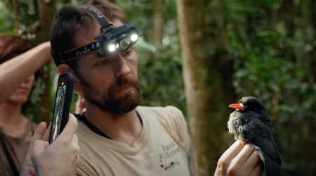 Bird Banding in the Peruvian Amazon: New YouTube Docuseries