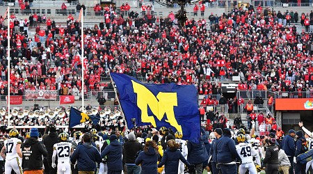 Ohio Lawmaker Introduces Bill to Ban Flag-Planting After OSU-Michigan Fight Video