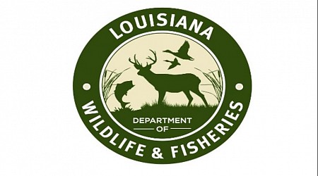 LWDF asking hunters in Pointe Coupee, Tangipahoa parishes to submit samples of deer for disease tests