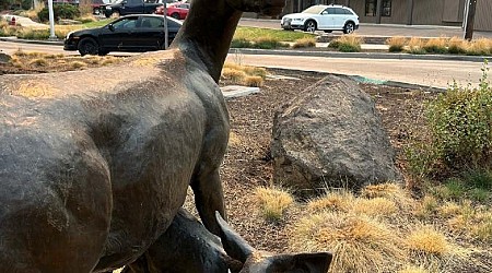 Oregon city asks locals to stop putting googly eyes on sculptures