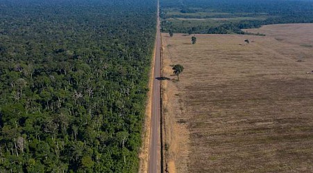 Environmental groups condemn new laws threatening soybean restrictions in Brazil's Amazon