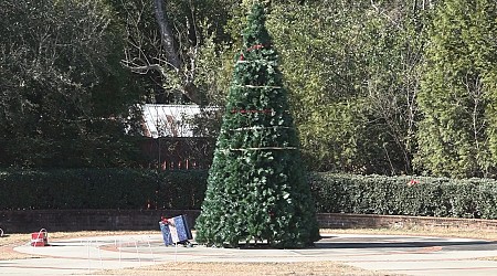 Christmas tree controversy highlights frustrations in Swansea, South Carolina