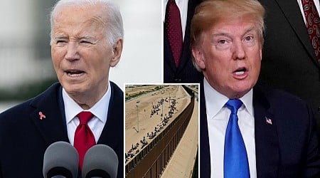 Biden admin quietly clears away border wall parts for auction before Trump takes office