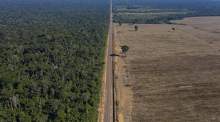 Environmental groups condemn new laws threatening soybean restrictions in Brazil's Amazon