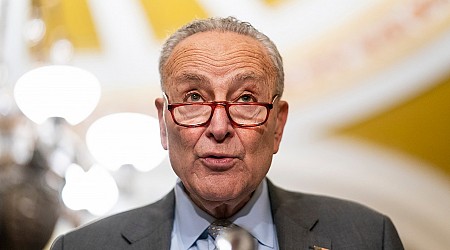 Schumer calls for Mayorkas to ‘deploy special drone-detection tech’ in New York, New Jersey