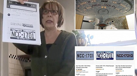 NY grandmother gets hundreds of tickets in 'Star Trek' license plate, DMV fiasco