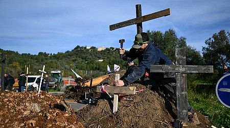 Landwirtschaft: Deutscher Bauernverband fordert Stopp von EU-Mercosur-Abkommen