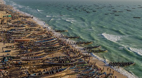 PHOTOS: A drone's eye view of 'foodscapes,' from cattle to soybeans to shrimp