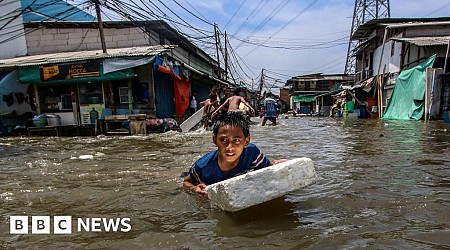 Landmark $300bn for poorer nations in COP29 climate deal