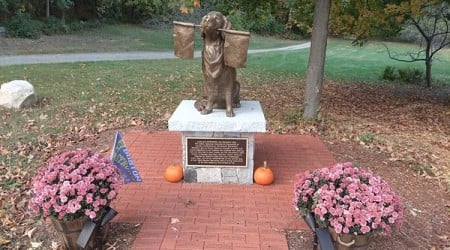 Spencer the Marathon Dog Statue in Ashland, Massachusetts