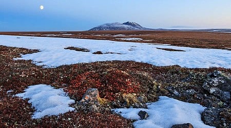 Arctic tundra is now a source – not a sink – of carbon emissions