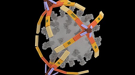 Scientists Built a Tiny DNA ‘Hand’ That Grabs Viruses to Stop Infections