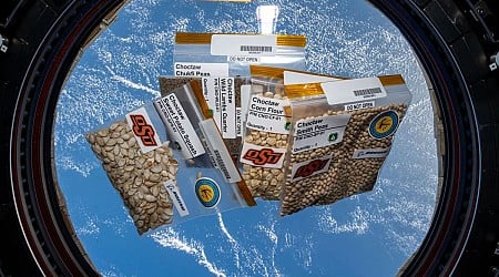 Space-flown Choctaw Nation seeds to be planted on Earth for STEM experiment