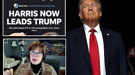 Trump sues Des Moines Register and pollster J. Ann Selzer for ‘brazen election interference’ over poll showing Harris victory in Iowa