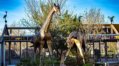 Kids get free admission to Denver Zoo for the remainder of December