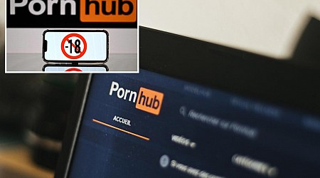 Pornhub to yank site access in Florida to protest age verification law