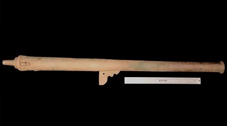 Cannons abandoned by doomed Spanish expedition are thought to be oldest firearms found in US