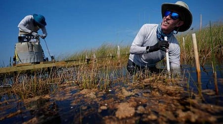 In Florida, a race is on to save the Everglades and protect a key source of drinking water