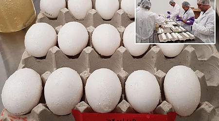 Food scientists found a way to keep raw eggs fresh longer