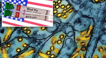 Health officials say Louisiana patient is first severe bird flu case in US