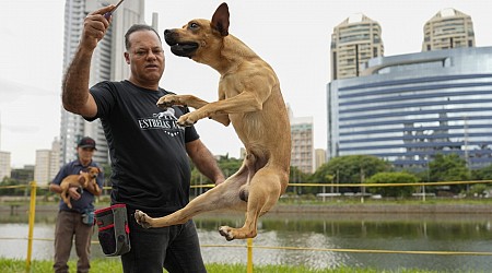 Why Brazil's caramelos are having a moment