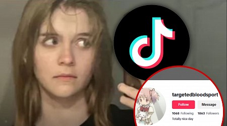 Wisconsin School Shooter's TikTok Account Deleted After ADL Complaints