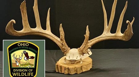 Ohio poacher slapped with record-breaking $43K fine after killing ‘valuable’ trophy deer