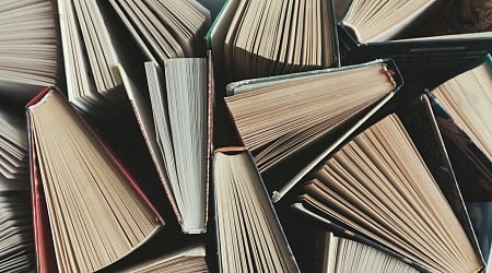 TGC Editorial Staff: Books We Enjoyed in 2024