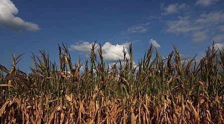 US wins ruling in a trade dispute with Mexico over its bid to ban genetically modified corn