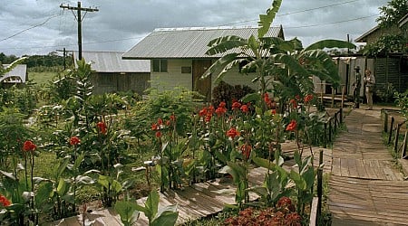 More than 900 people died in Jonestown. Guyana wants to turn it into a tourist attraction