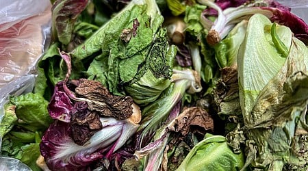 How to Keep Your Salad Greens From Liquifying in the Fridge