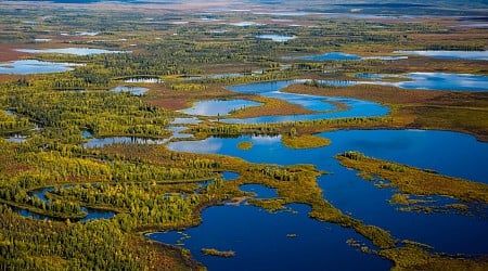 The Famous Bering Land Bridge Was More Like a Swamp, Geologists Say