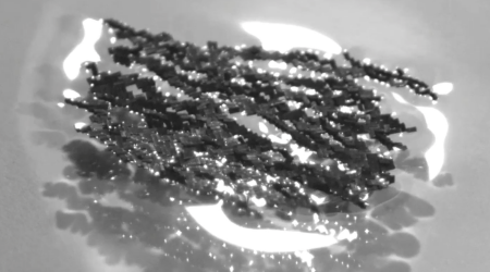 Swarms of tiny robots coordinate to achieve ant-like feats of strength