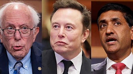 The Democrats who aren't writing off Elon Musk's DOGE