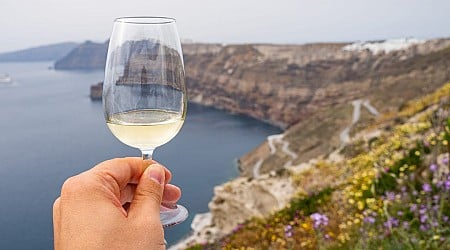 7 white wines I'm buying right now as a sommelier