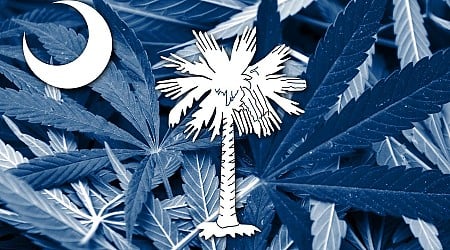 South Carolina Lawmaker Files Medical Cannabis Legalization Bill