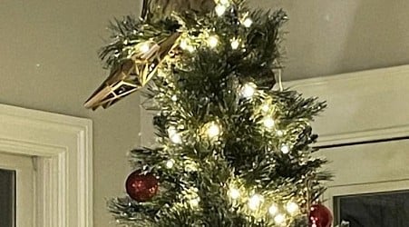 Virginia home gets unexpected owl tree-topper