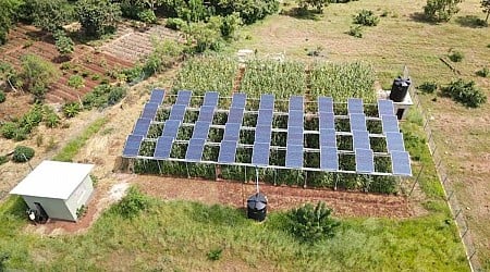 New study shows incredible results of pairing solar panels with agriculture: 'We were able to get more from the land'