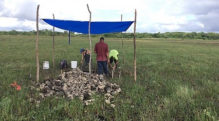 Archaeologists Discover Ancient Canals Used to Trap Fish in Belize 4,000 Years Ago