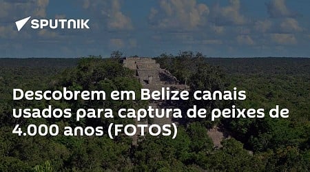 Descobrem em Belize canais usados para captura de peixes de 4.000 anos (FOTOS)