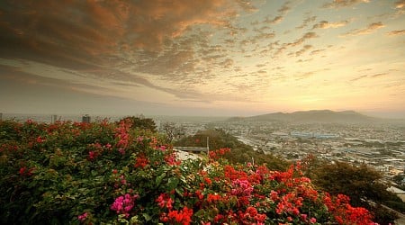 Copa: San Francisco – Guayaquil, Ecuador. $341 (Basic Economy) / $461 (Regular Economy). Roundtrip, including all Taxes