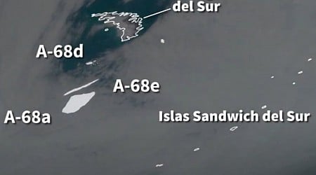 El increíble impacto del iceberg más grande del mundo en el clima oceánico