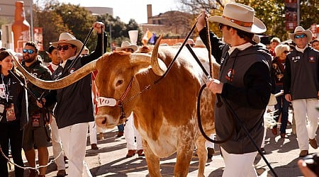 Banned again: Texas mascot won’t be allowed on sidelines for CFP bout with Arizona State