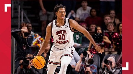 South Carolina's Collin Murray-Boyles earns SEC honor