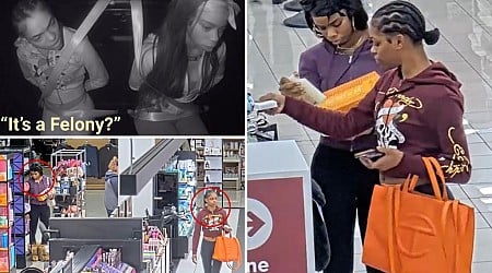 Busted thieves baffled by 'new laws' in California that make shoplifting a felony, police video shows