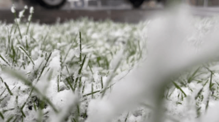 Will it snow in Utah on Christmas Day? Here's what the forecast says