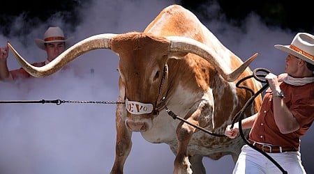 Chick-fil-A Peach Bowl bans Texas Longhorns' Bevo from stadium sidelines