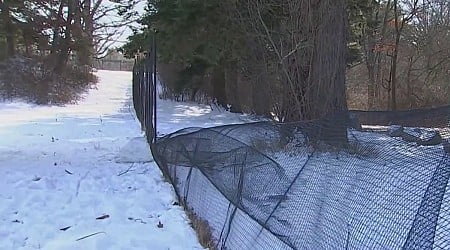 Wellesley, MA sledding controversy caused by fence, flowers