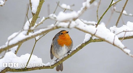 UK snow: Five things you might not know