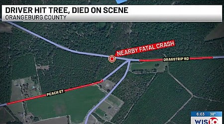 1 dead following Christmas Day crash in Orangeburg